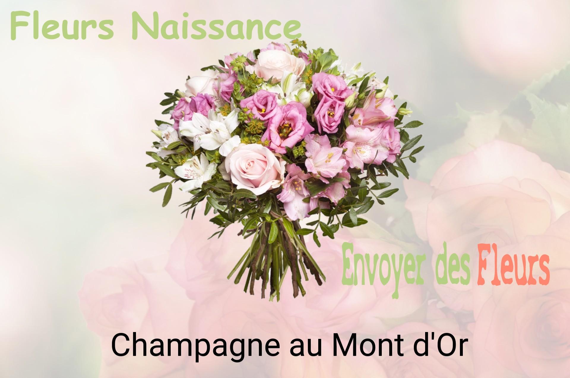 Bouquet de fleurs de naissance livré à Champagne-au-Mont-d'Or